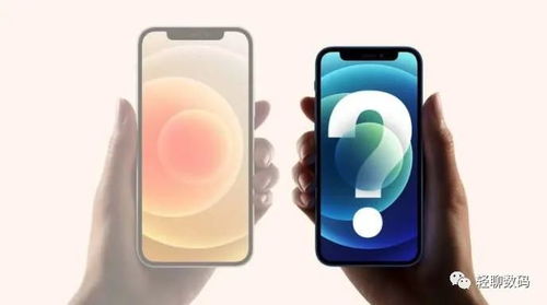 蘋果還是十三的香，但“迷你相機”已提前劇透——iPhone 14的爆料狂歡